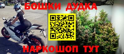 индика Краснознаменск